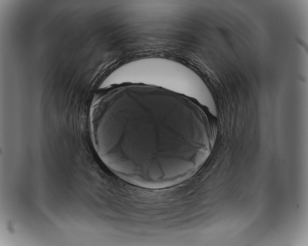 X0000096470035200802211201