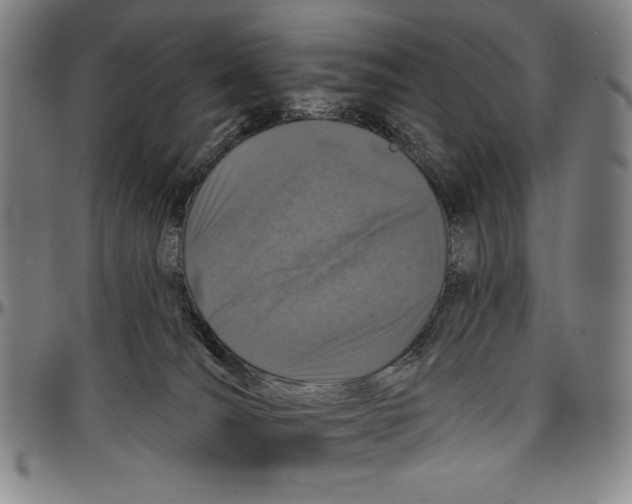 X0000096470036200802211201