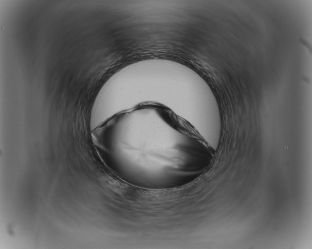X0000096470037200802211201