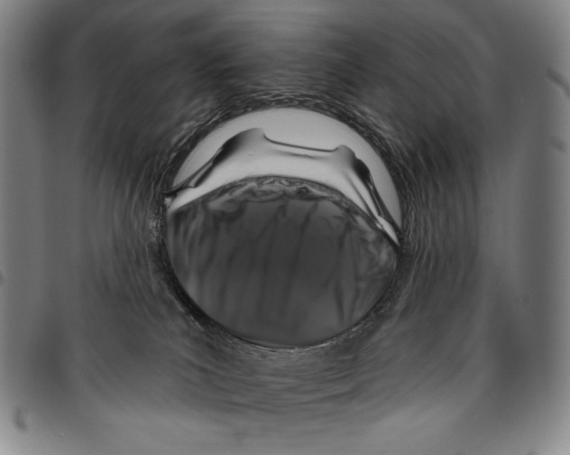 X0000096470039200802211201
