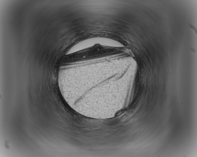 X0000096470040200802211201
