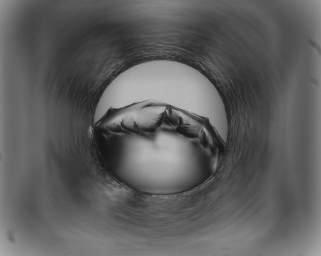 X0000096470041200802211201