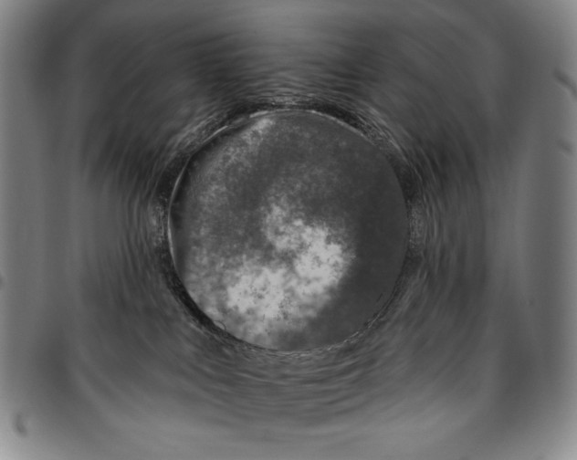X0000096470043200802211201