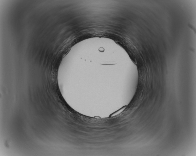 X0000096470044200802211201