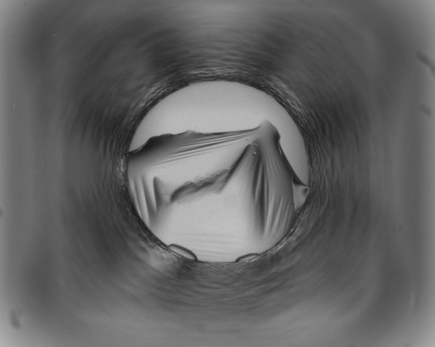 X0000096470045200802211201