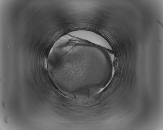 X0000096470046200802211201