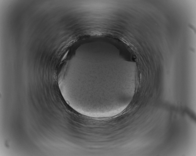 X0000096470048200802211201