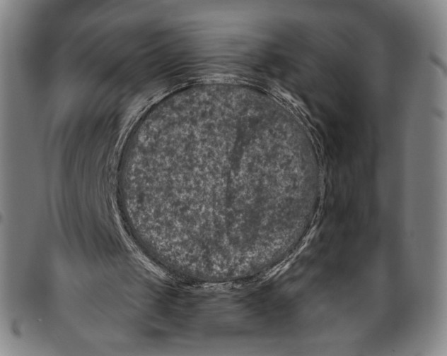 X0000096470049200802211200