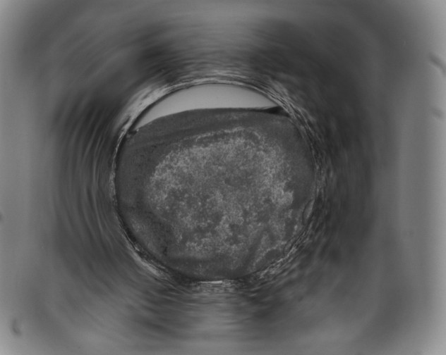 X0000096470050200802211200