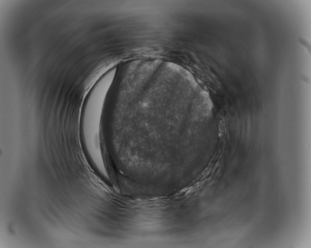 X0000096470052200802211200