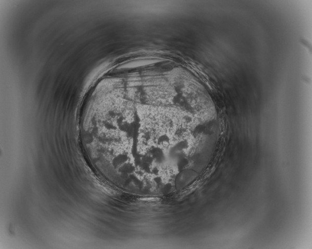 X0000096470053200802211200