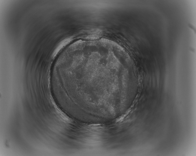 X0000096470054200802211200