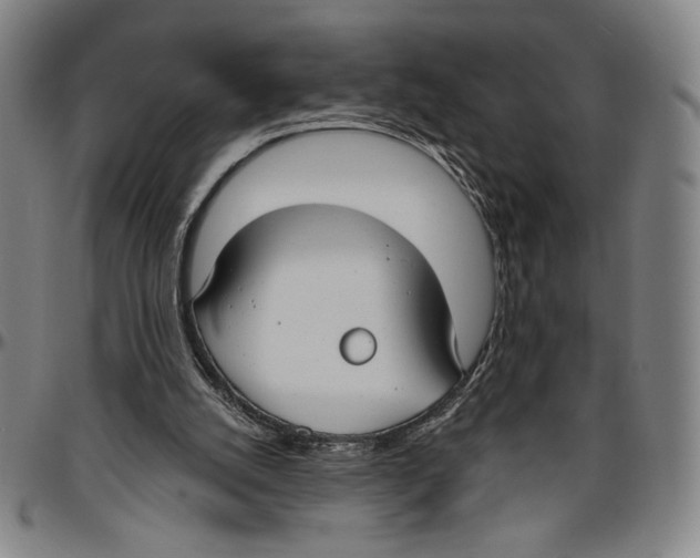 X0000096470056200802211200