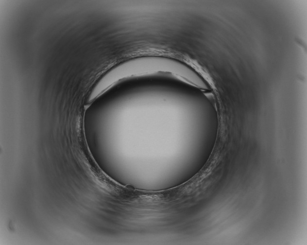 X0000096470057200802211200