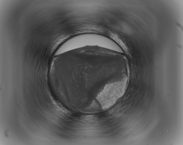 X0000096470058200802211200