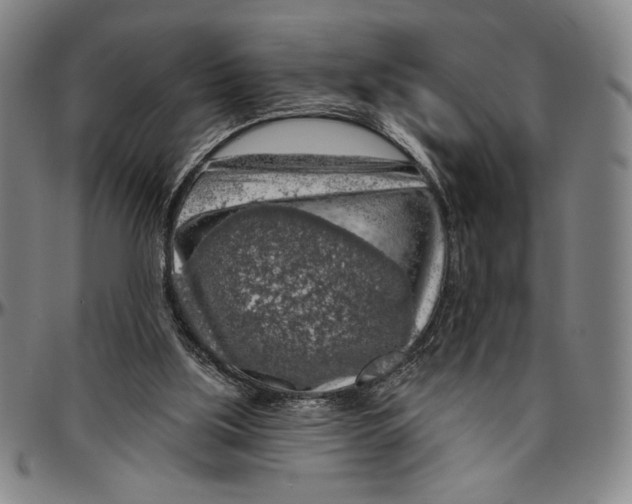 X0000096470059200802211200