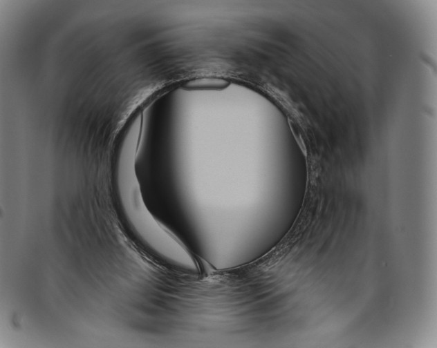 X0000096470060200802211200
