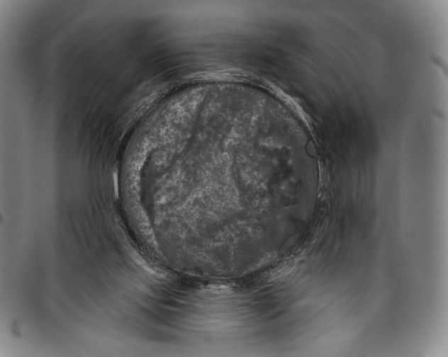 X0000096470061200802211200