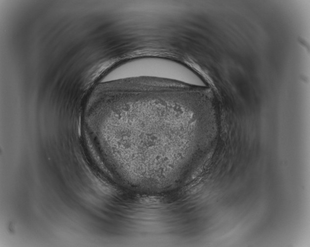 X0000096470062200802211200