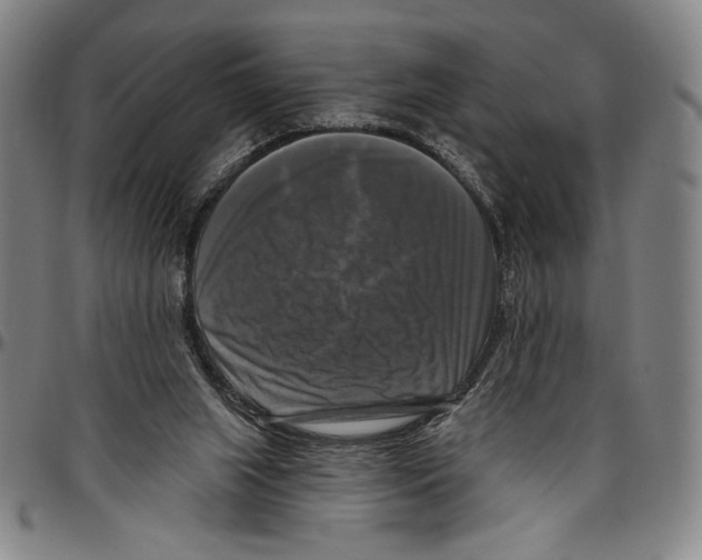 X0000096470063200802211200