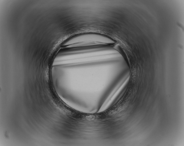 X0000096470064200802211200