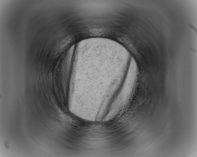 X0000096470066200802211200
