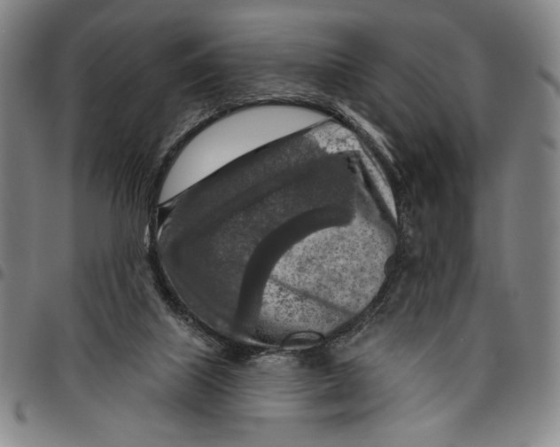X0000096470067200802211200