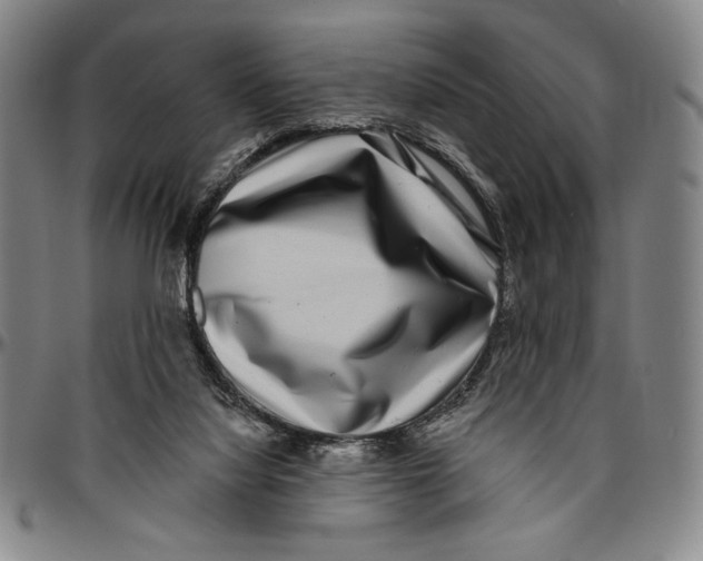 X0000096470068200802211200