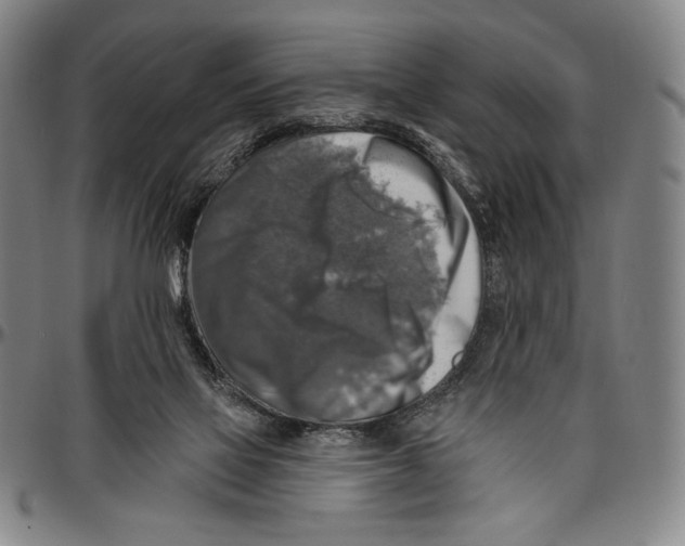 X0000096470069200802211200
