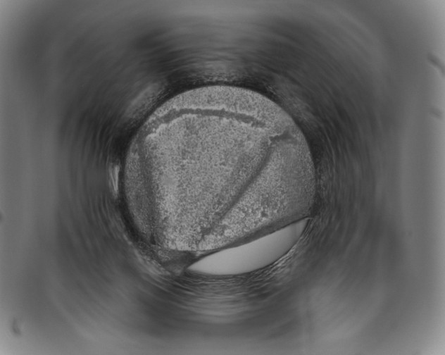 X0000096470070200802211200