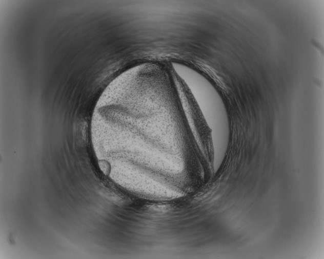 X0000096470071200802211200