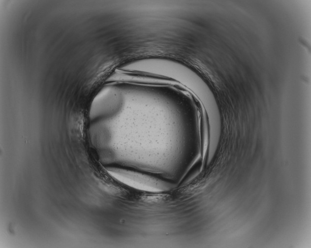 X0000096470072200802211200