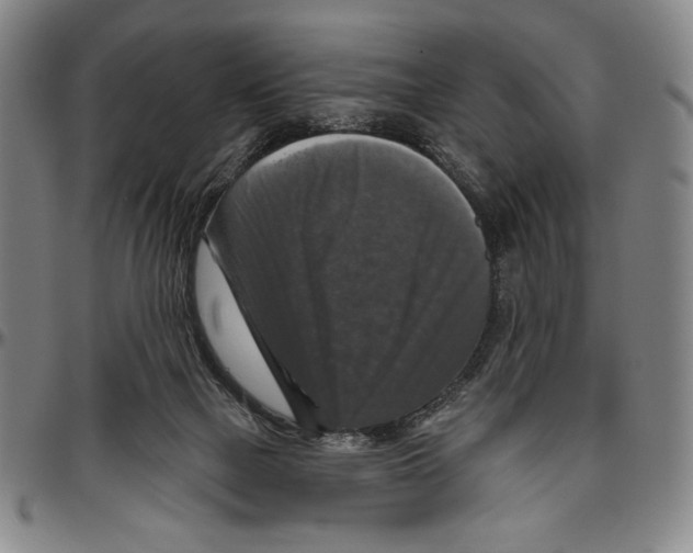 X0000096470073200802211200