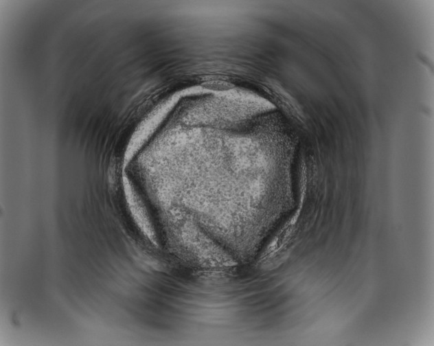 X0000096470074200802211200
