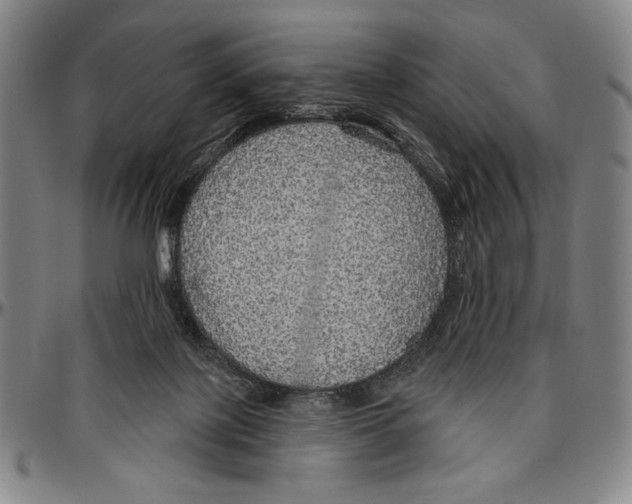 X0000096470075200802211200