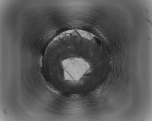 X0000096470076200802211200