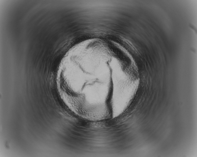 X0000096470077200802211201