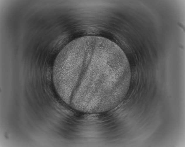 X0000096470078200802211201