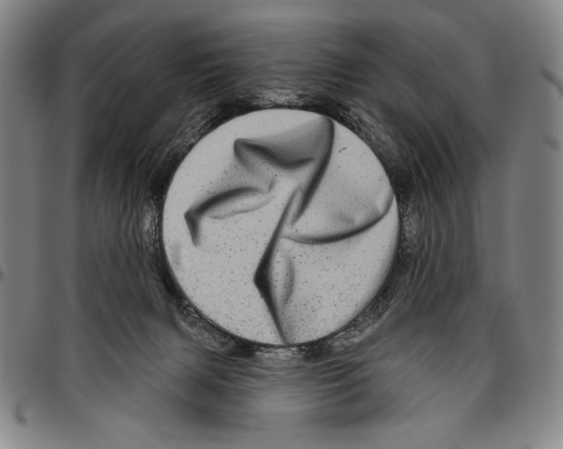 X0000096470079200802211201