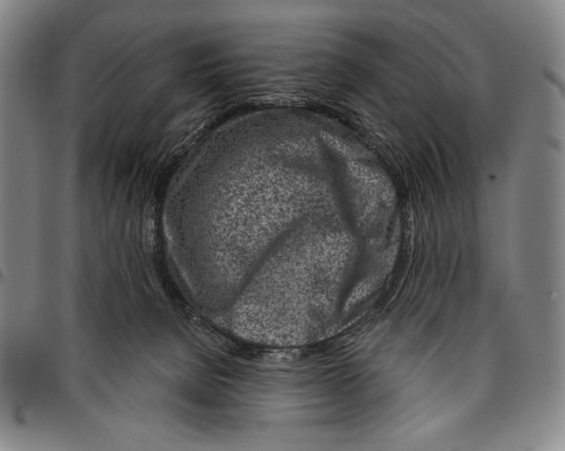 X0000096470080200802211201