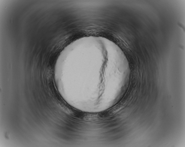 X0000096470081200802211201