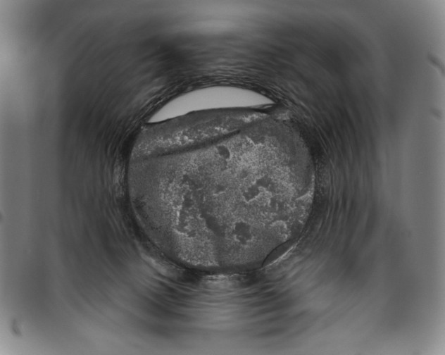 X0000096470082200802211201