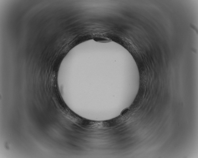 X0000096470083200802211201