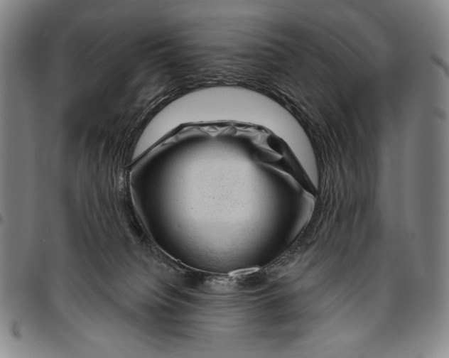 X0000096470084200802211201