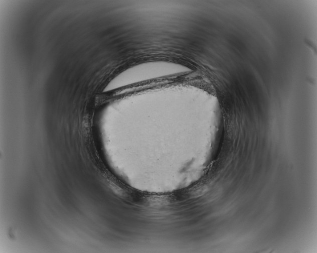 X0000096470085200802211201