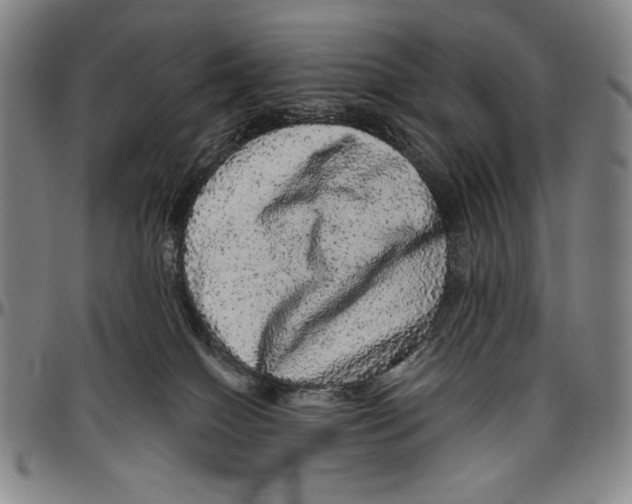 X0000096470086200802211201