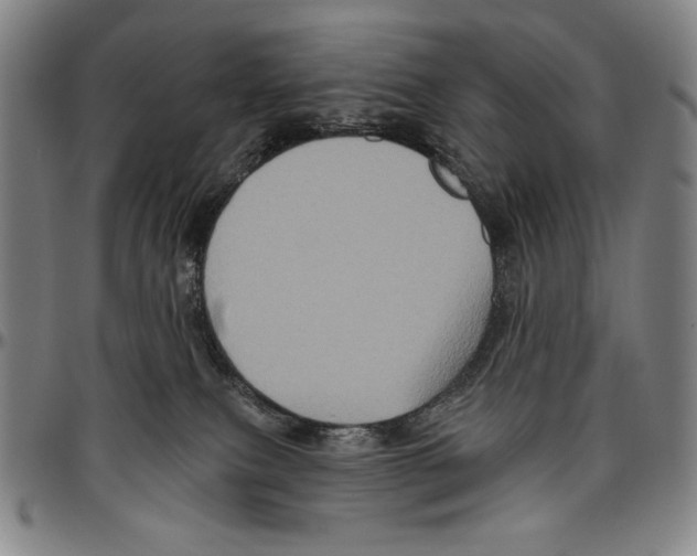 X0000096470087200802211201