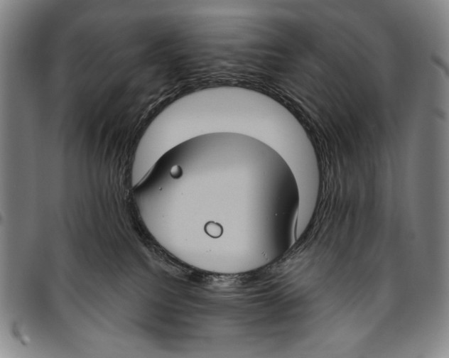 X0000096470088200802211201