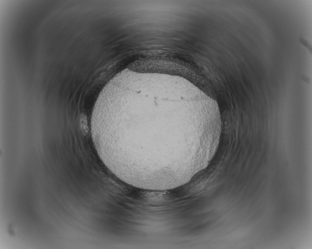 X0000096470089200802211201