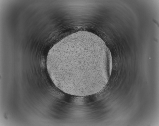 X0000096470090200802211201